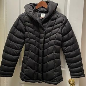 Patagonia winter hooded down jacket